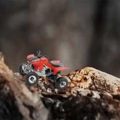quad miniature